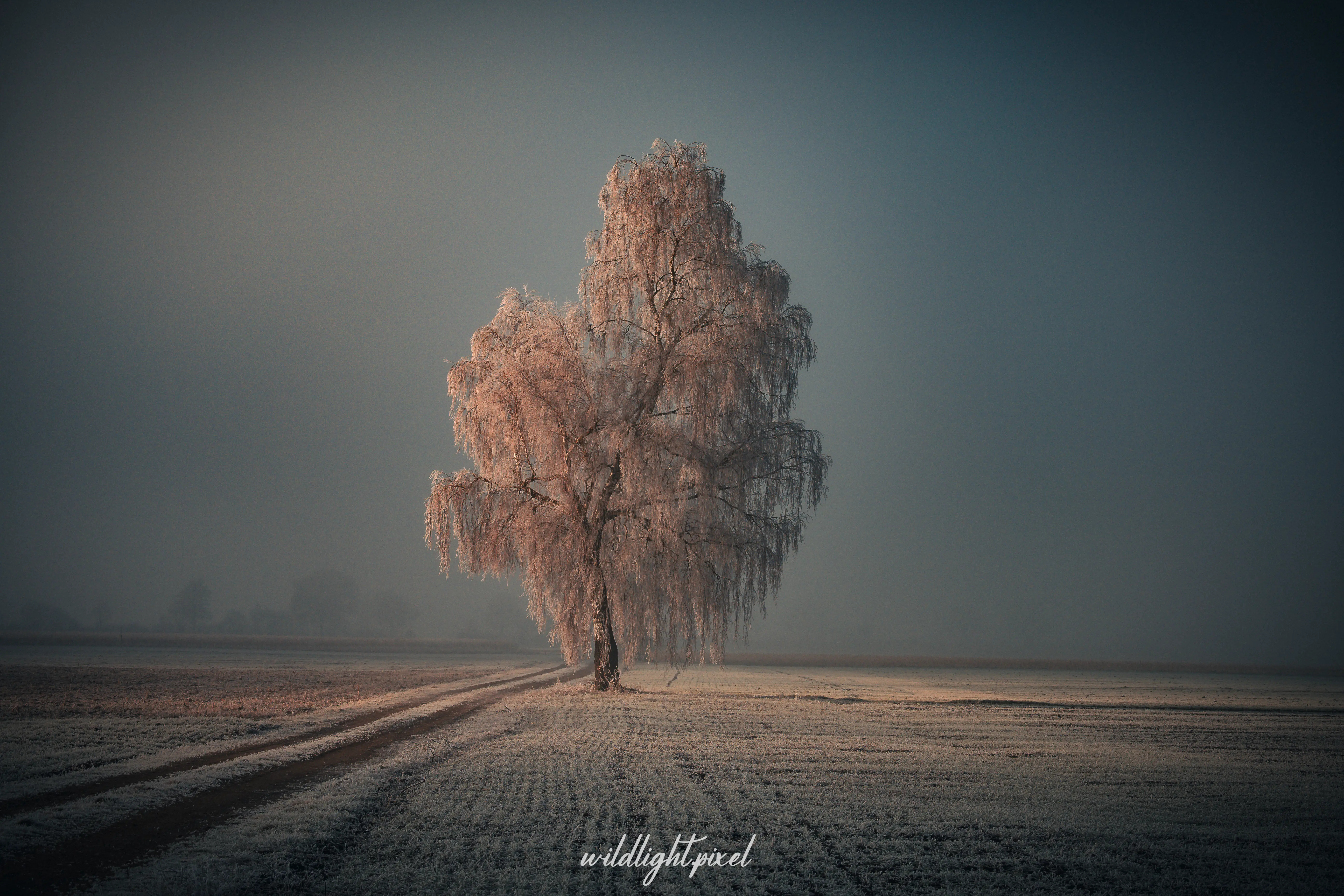 Atmosphärische Outdoorfotografie und Landschaftsaufnahmen in Bayern