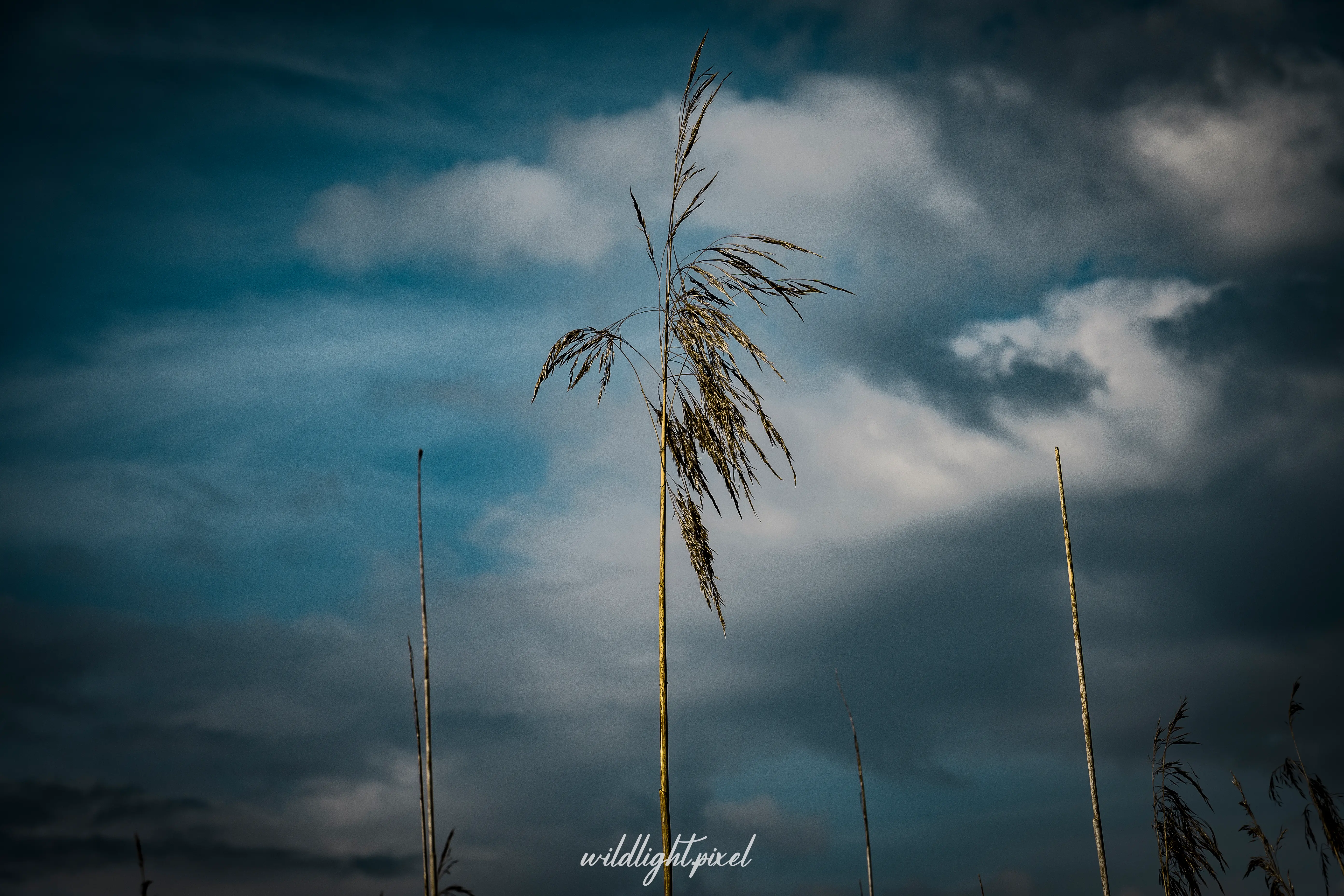 Kreative Fotokunst und stimmungsvolle Naturimpressionen