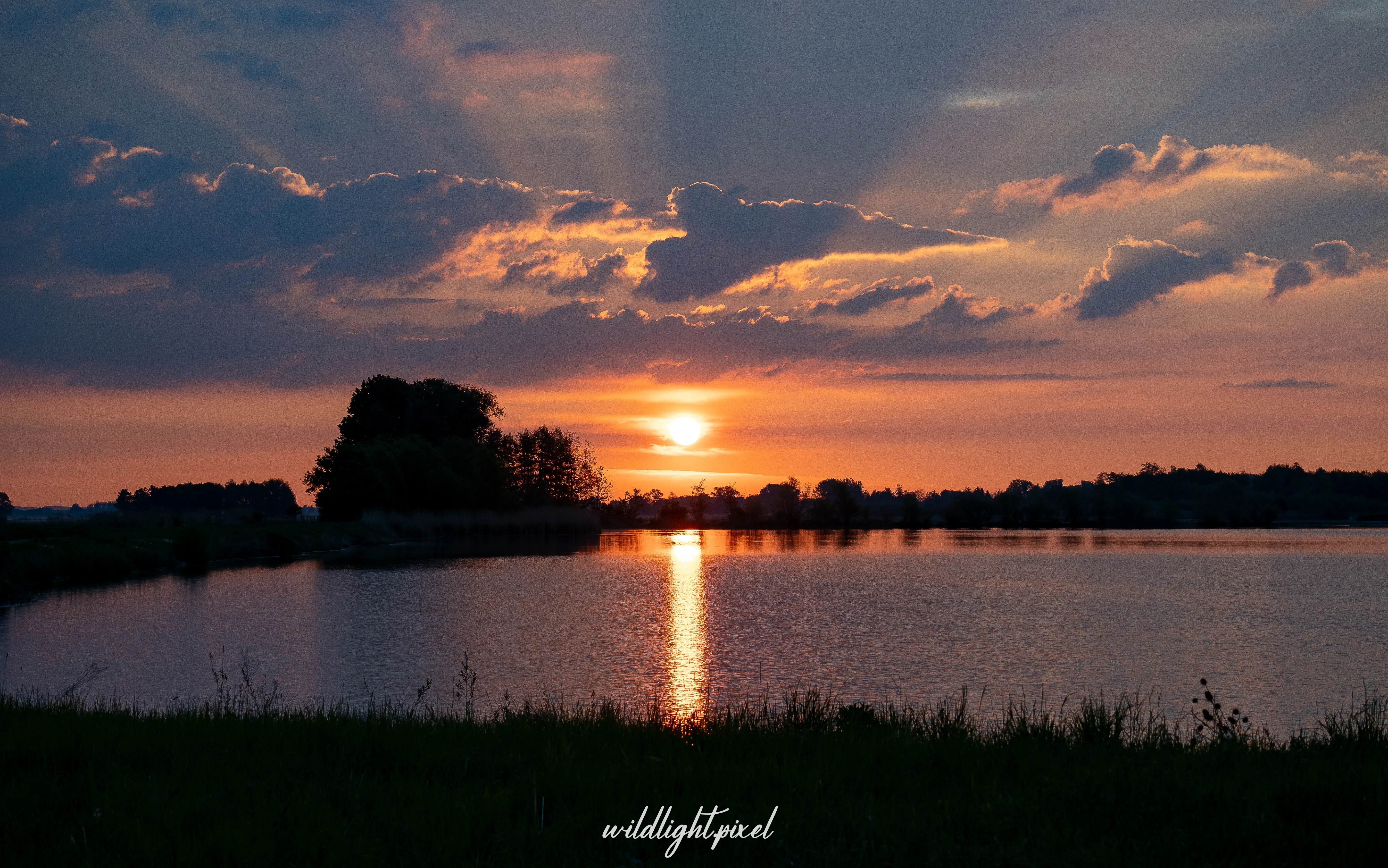 Wildlightpixel Fotografie Kunst und stimmungsvolle Details im Freien