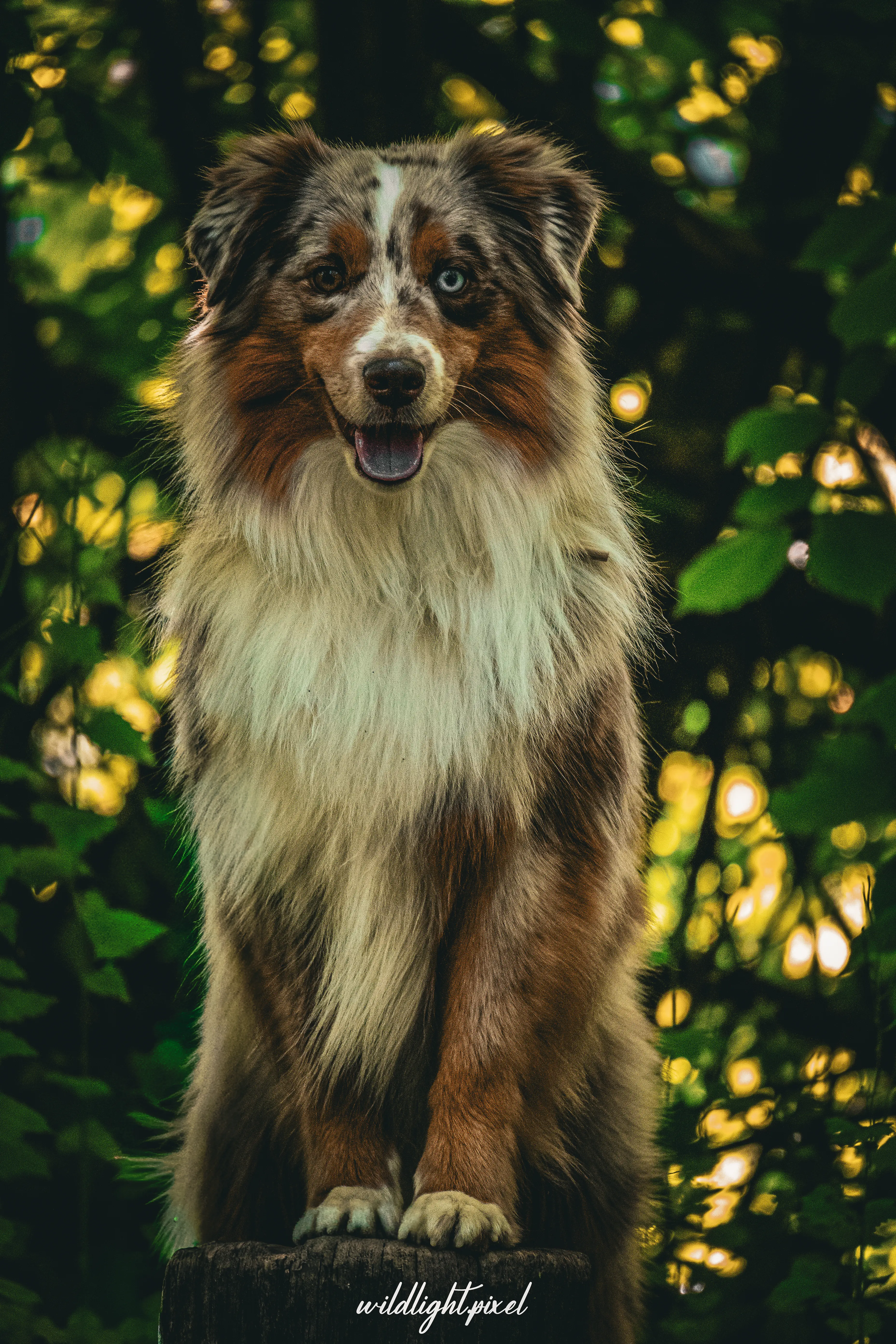 Einzigartige Lichtstimmung zum Abschluss eines Fotoshootings