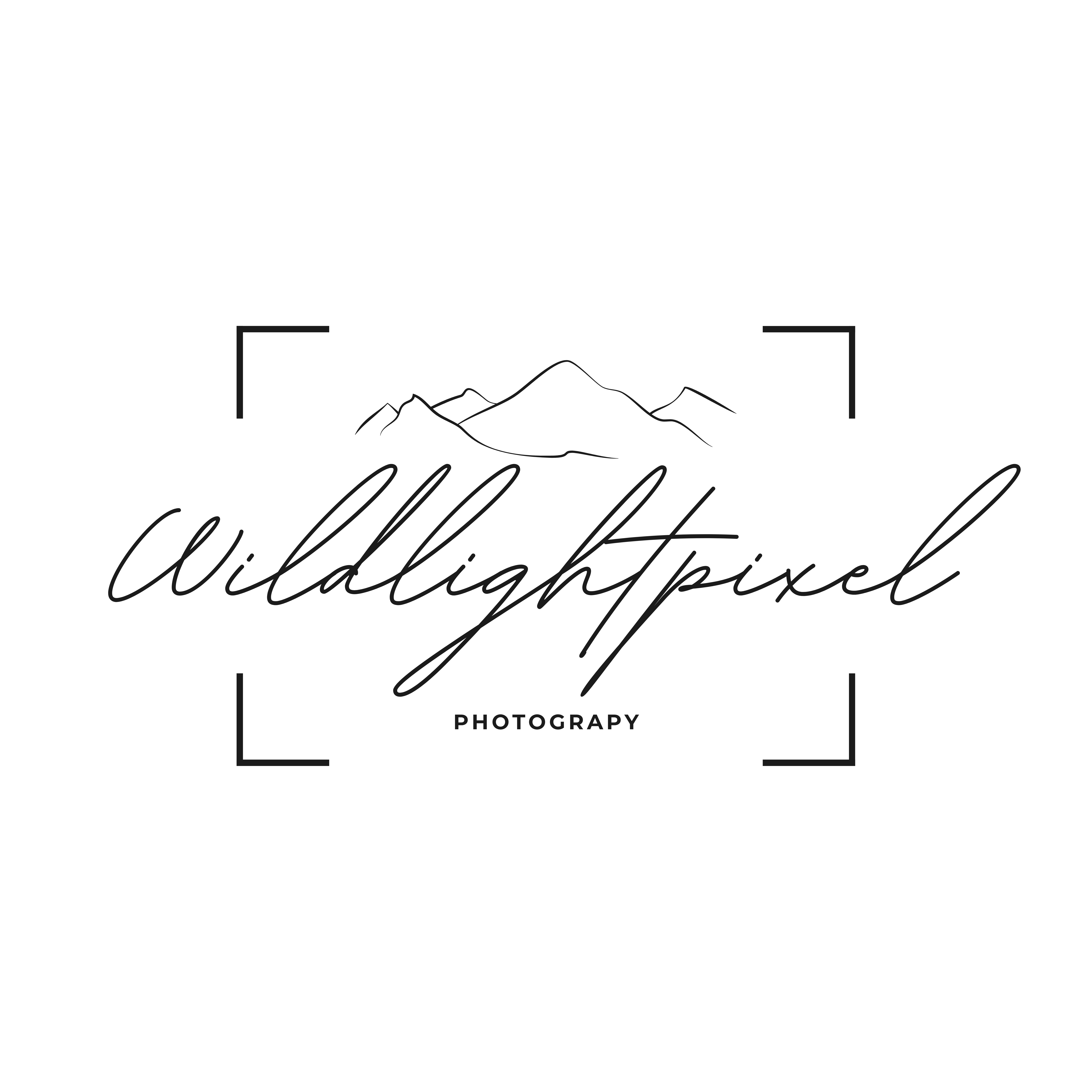 Wildlightpixel Logo